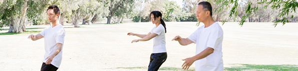 People practicing thai chi in the park in the summertime