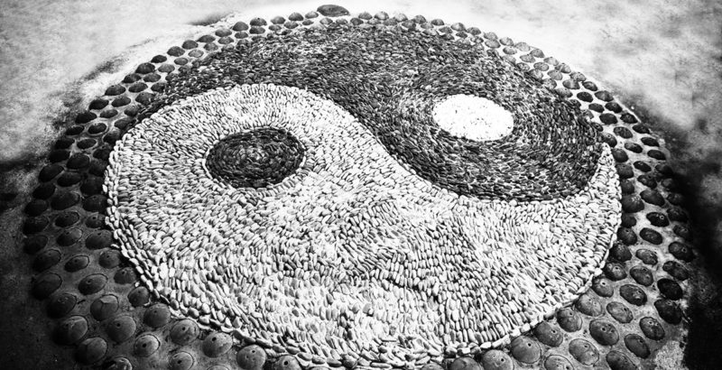 Go Slow To Go Fast—And More: A Rationale For Slow T’ai Chi Practice