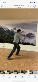 Tai Chi posture: Fair Lady Weaves shuttles