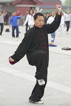 Stability vs. Mobility in Taijiquan