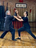 Tai Chi Association of Colorado Springs